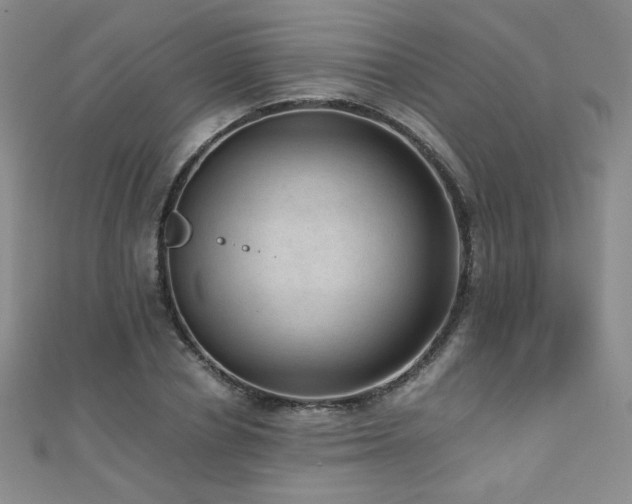 X0000110710834200906121353