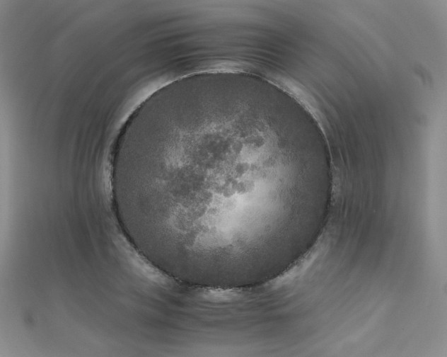 X0000110710835200906121353