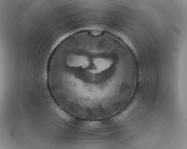 X0000110710837200906121353