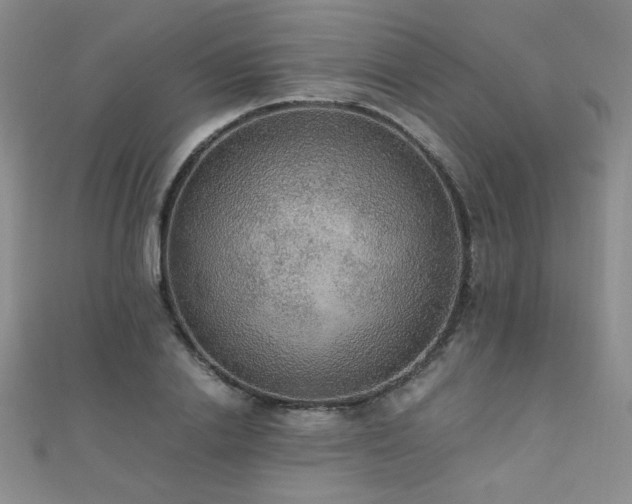 X0000110710838200906121353