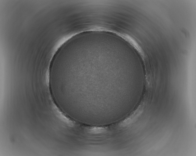X0000110710839200906121353