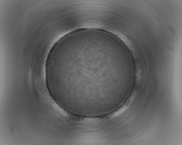 X0000110710840200906121353