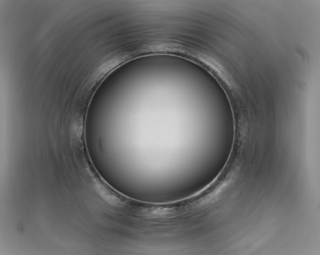 X0000110710841200906121353