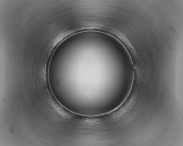 X0000110710842200906121353