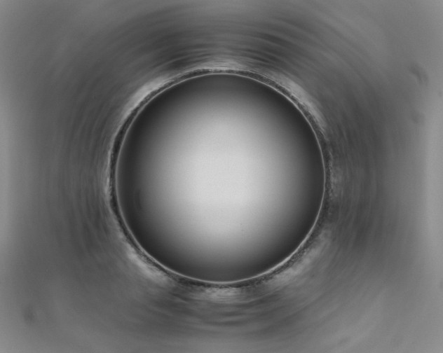 X0000110710845200906121353