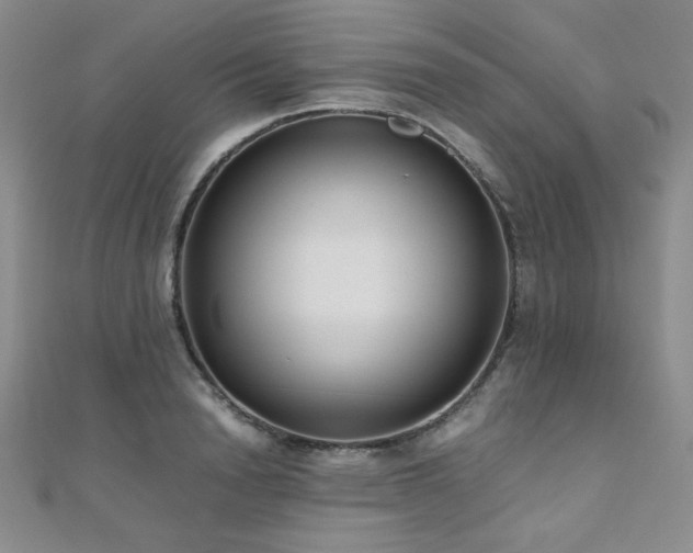 X0000110710846200906121353