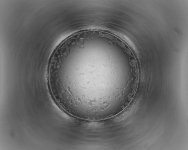 X0000110710847200906121353
