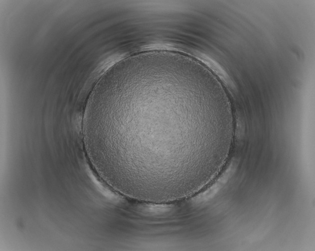 X0000110710849200906121353
