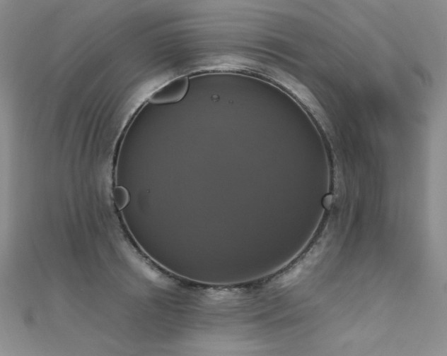 X0000110710850200906121353