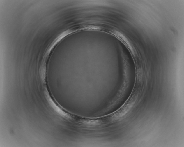 X0000110710851200906121353