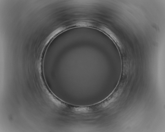 X0000110710853200906121353