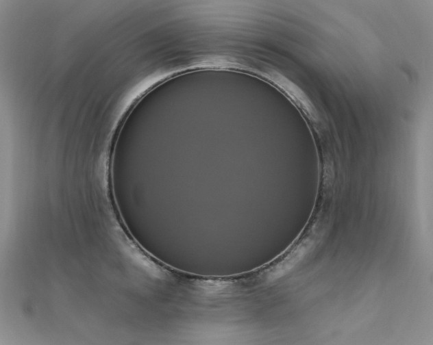 X0000110710854200906121353