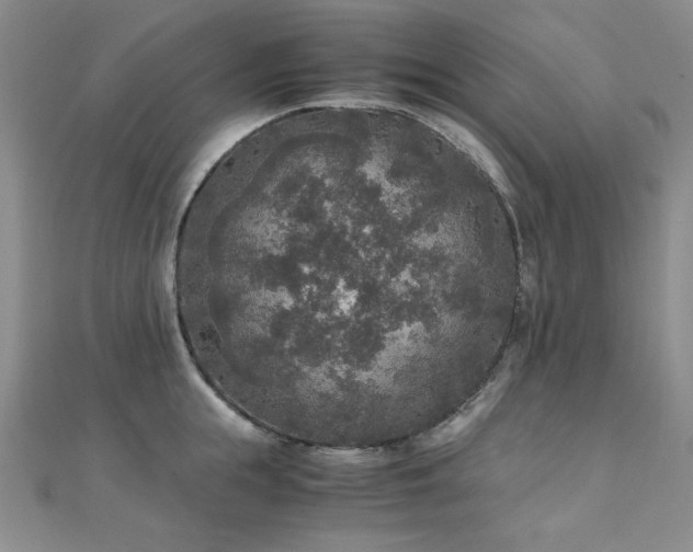X0000110710855200906121353