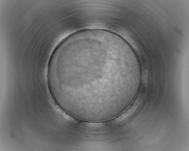 X0000110710856200906121353