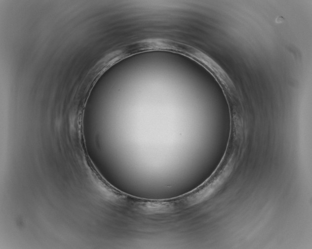 X0000110710857200906121353