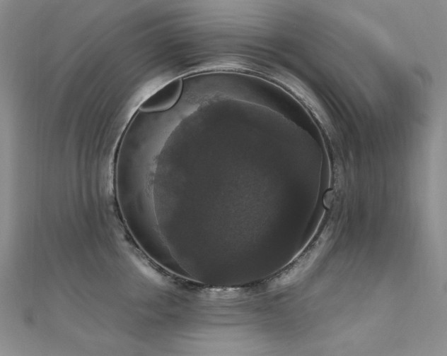 X0000110710858200906121353