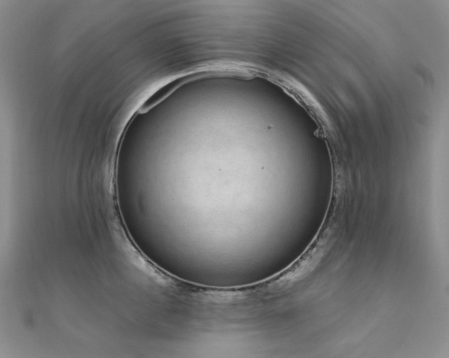 X0000110710860200906121353