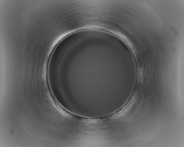 X0000110710862200906121353