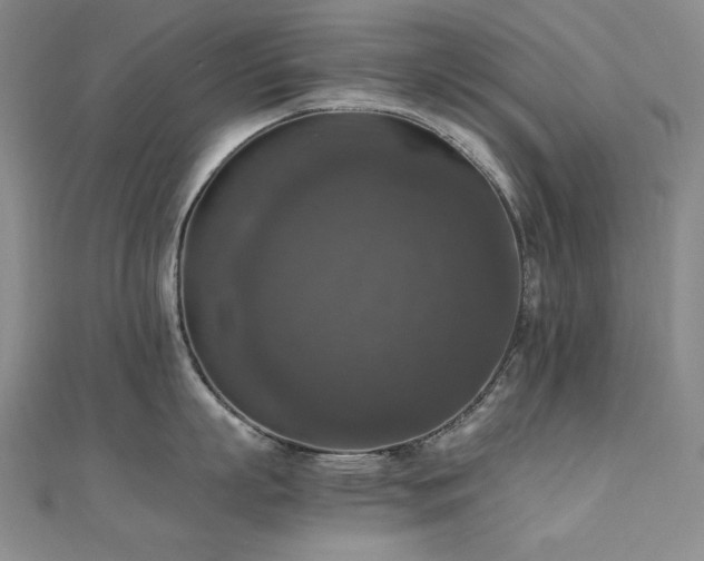 X0000110710863200906121353