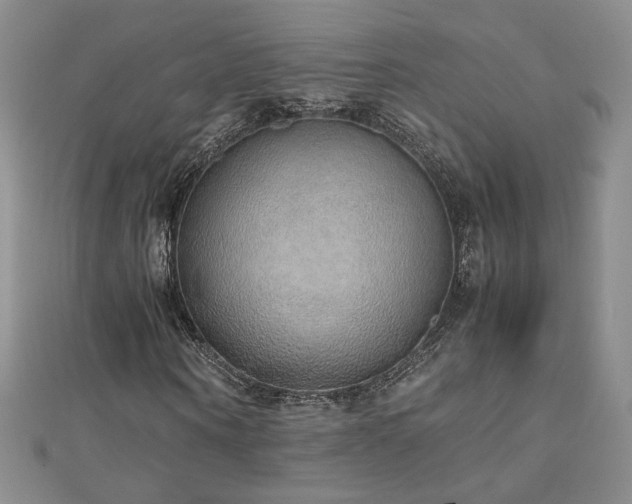 X0000110710866200906121352