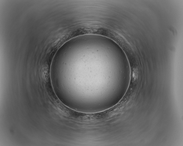 X0000110710867200906121352
