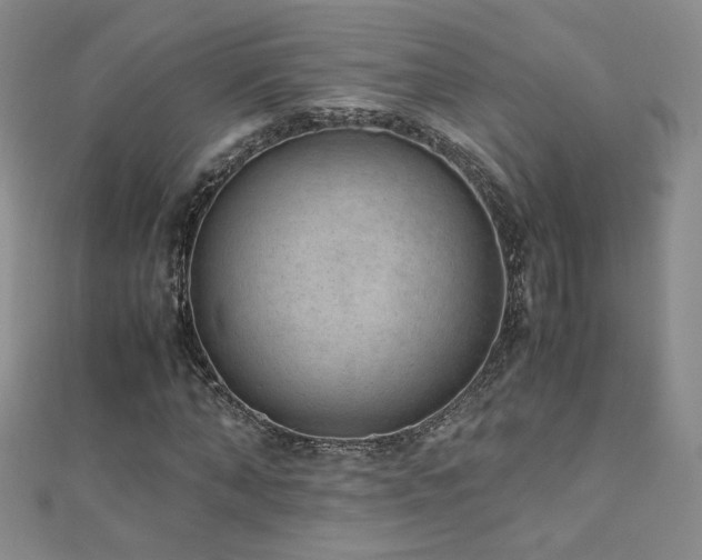 X0000110710870200906121352