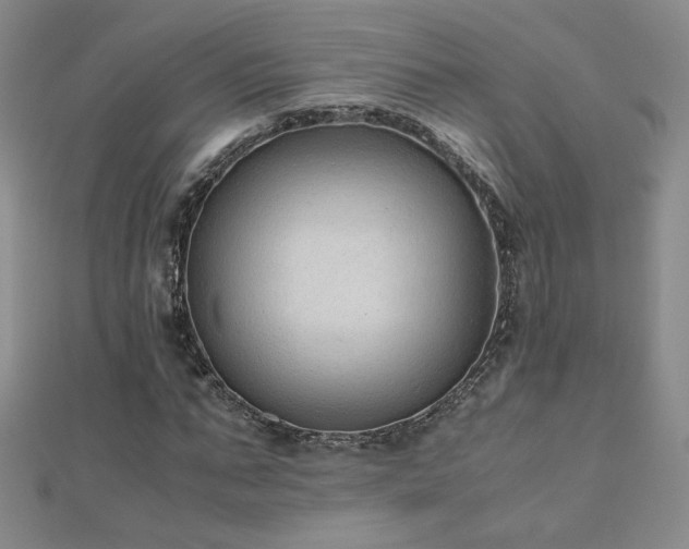 X0000110710871200906121352