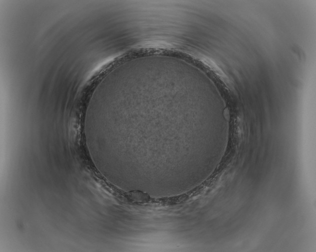 X0000110710872200906121352
