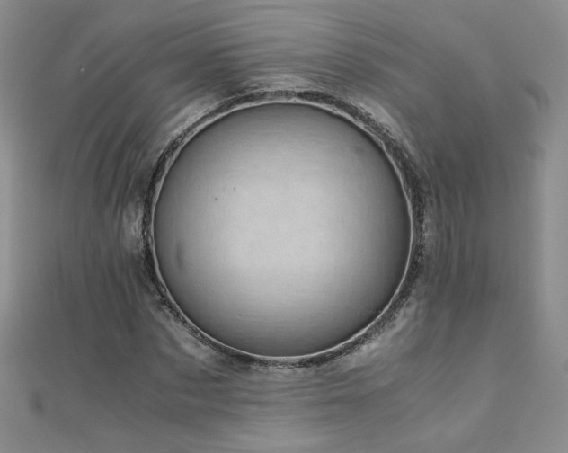 X0000110710873200906121352