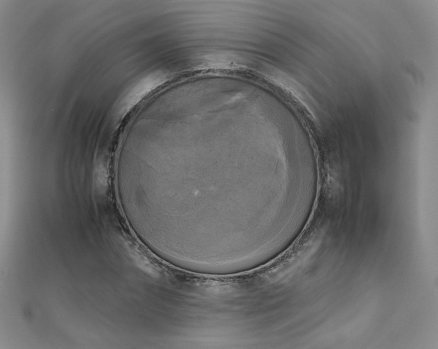 X0000110710874200906121352
