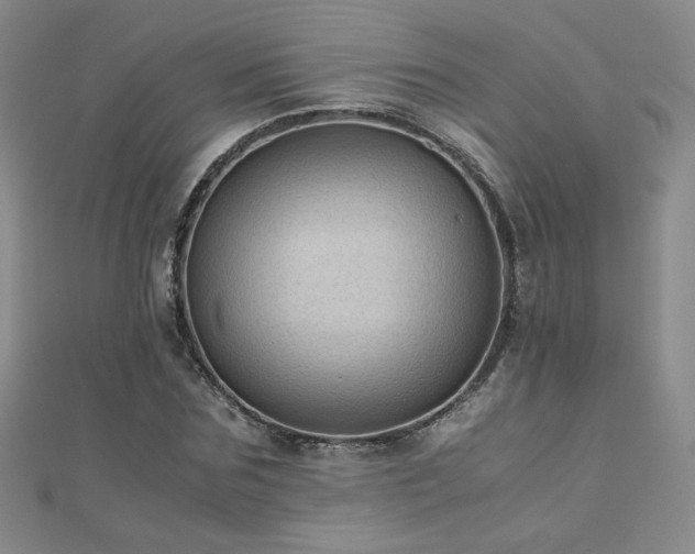 X0000110710875200906121352