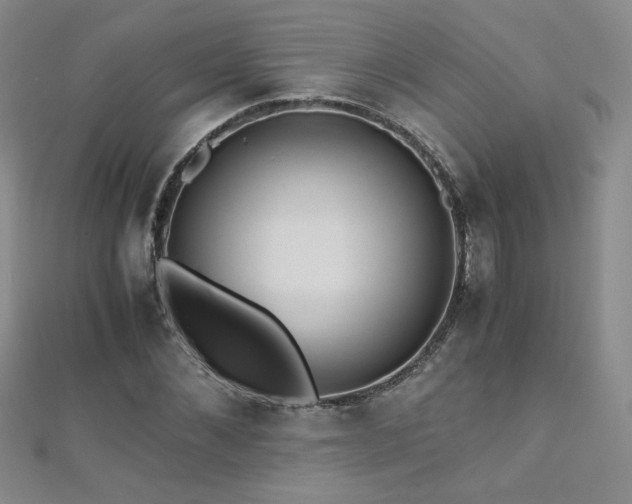 X0000110710876200906121352