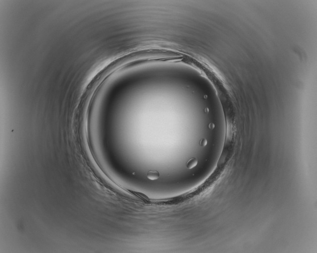 X0000110710877200906121352