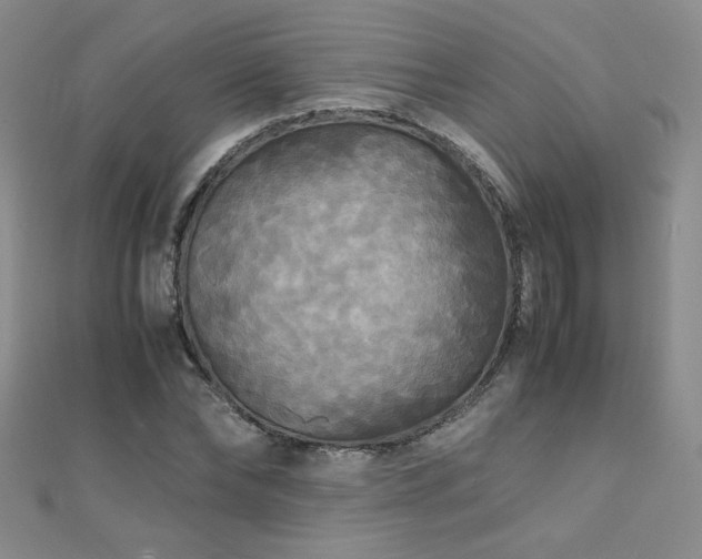 X0000110710878200906121352
