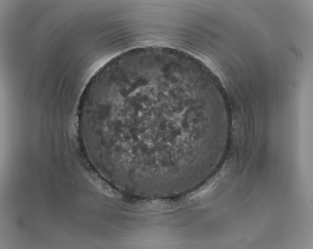 X0000110710879200906121352
