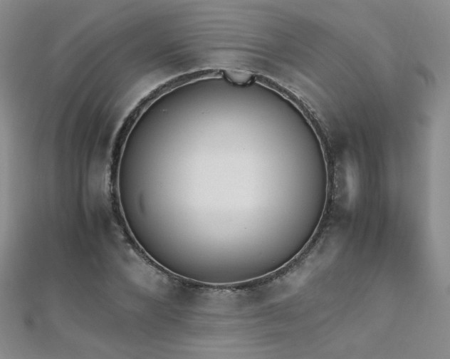 X0000110710880200906121352