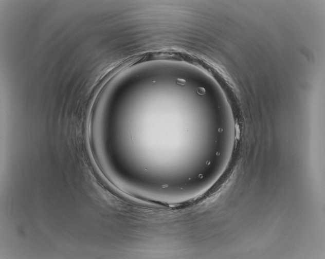 X0000110710881200906121352
