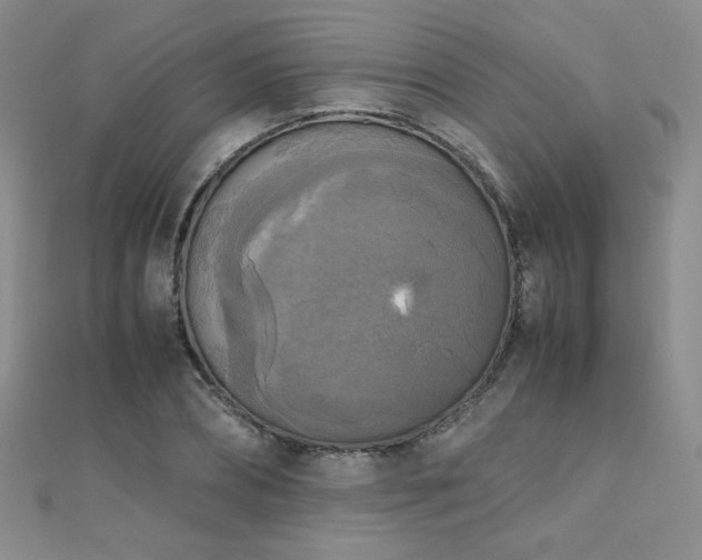 X0000110710882200906121352