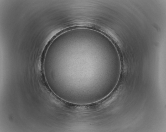 X0000110710883200906121352