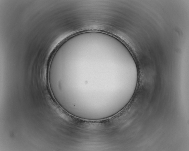 X0000110710886200906121352