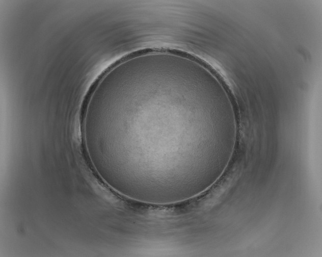 X0000110710887200906121352