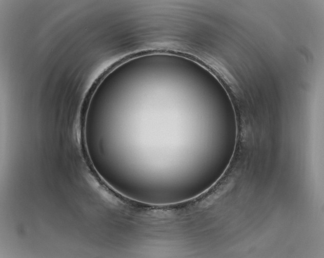 X0000110710888200906121352