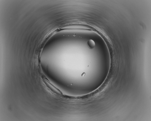 X0000110710889200906121352