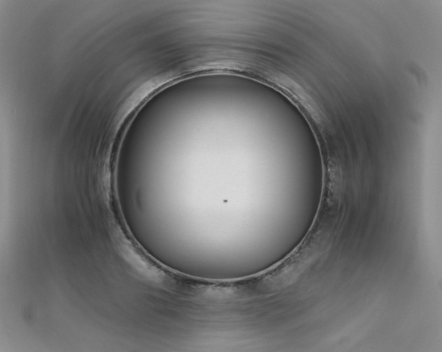X0000110710890200906121352