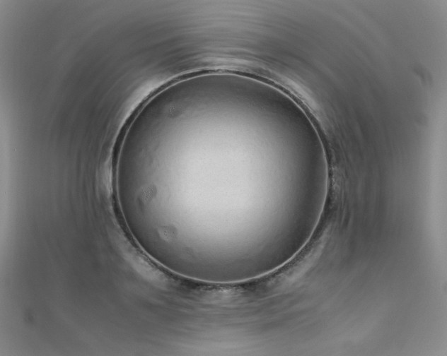 X0000110710891200906121352