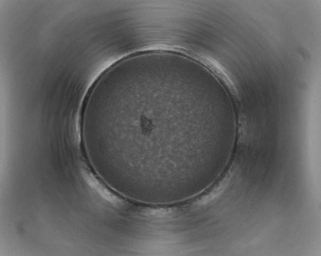 X0000110710892200906121352
