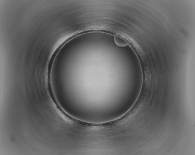 X0000110710894200906121352