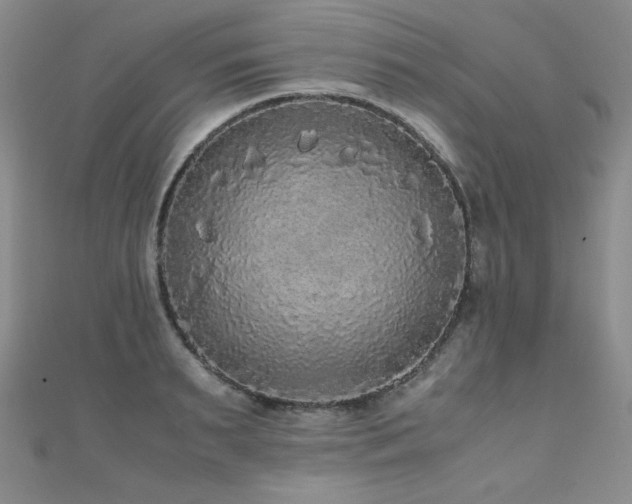 X0000110710895200906121352
