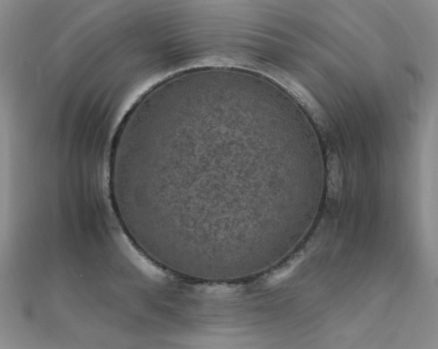 X0000110710896200906121352