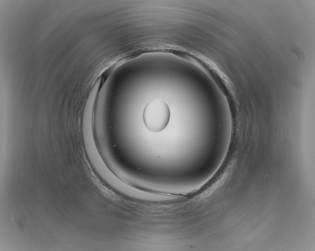 X0000110710897200906121352